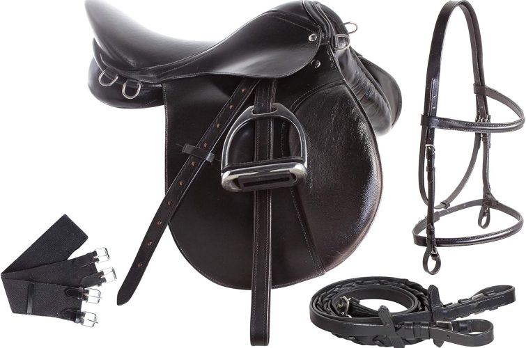 saddle