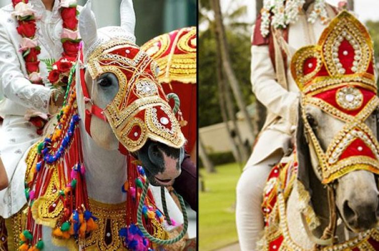 weddinghorse